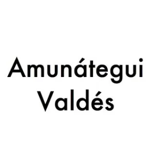 Amunátegui Valdés Architects