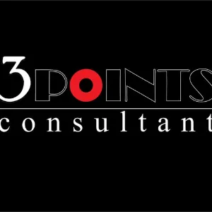 3 Points Consultant