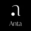 Anta Estudio