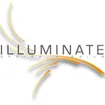 Illuminate Design + Build