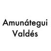 Amunátegui Valdés Architects