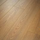Shaw Floors Paw-some Flooring