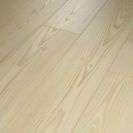 Shaw Floors Paw-some Flooring