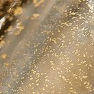 Barovier&Toso Agadir