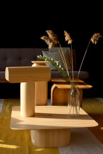 Sectodesign Teelo 8020