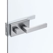 Eclisse Syntesis® Battente Glass Hinged Door