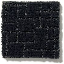 Anderson Tuftex Faux Paw Carpet