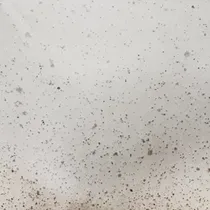 Meridiani Wolfang Wall Storage Unit