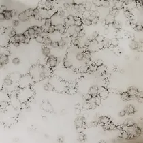 Meridiani Wolfang Wall Storage Unit