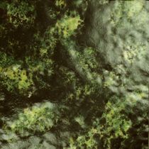 Marioni Tribala Vases