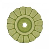 Marioni Tibiae - Decorative Element