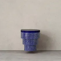 Trone Callipyge Wall - Hung Toilet