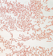 Toulemonde Bochart Nature Corail Rug