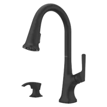 Pfister Faucets Ridgeline Kitchen Taps