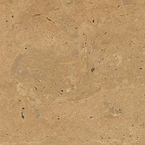 Kreoo Folium Wall Tiles