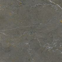 Kreoo Folium Wall Tiles
