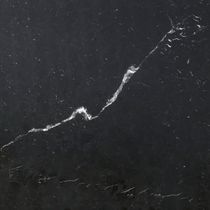 Kreoo Folium Wall Tiles