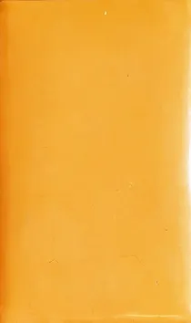Tierrafino Tadelakt Lime Plaster Stone