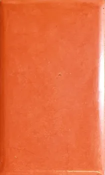 Tierrafino Tadelakt Lime Plaster Stone