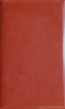 Tierrafino Tadelakt Lime Plaster Stone