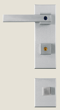 Dibi Mite Door