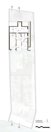 A House Looking to A Cedrus Tree