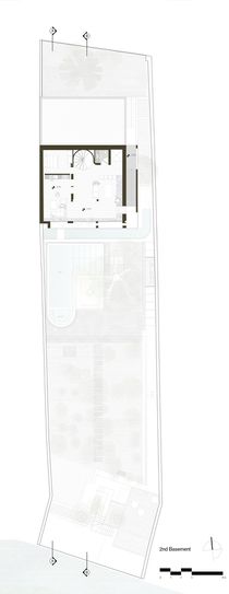 A House Looking to A Cedrus Tree