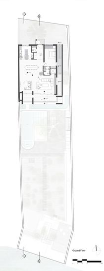 A House Looking to A Cedrus Tree