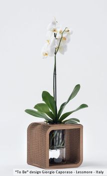Lessmore To Be Vase
