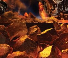 Heat & Glo® Foundation Series – Bay Gas Fireplaces