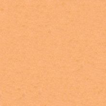 Sannini Brushed Cotto Flooring