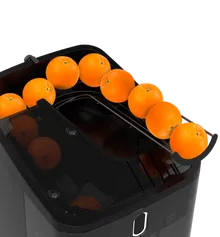 Zummo Viva Juicer Machine