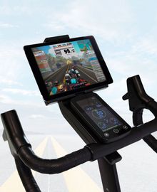 Bhfitness Lyon Climber H9117 Exercise Bike