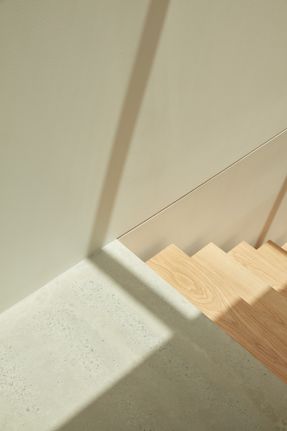 Skinny House