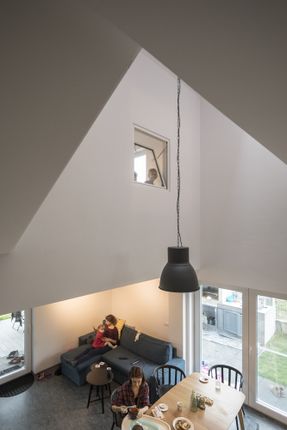 Ants House