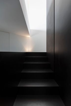 Monolitär- Raman