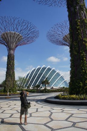 Cooled Conservatories At Gardens By The Bay