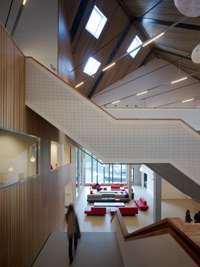 Amsterdam University College