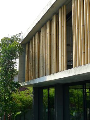 The Bamboo Curtain House