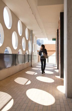 The Swinburne University Of Technology
