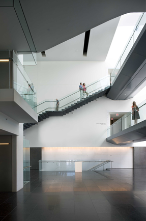 Virginia Museum Of Fine Arts