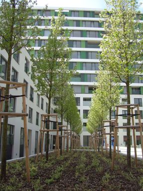Viktoria Building