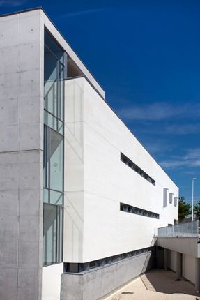 Arxiu Històric Municipal D’Elx