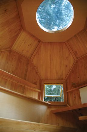 Habitable Polyhedron