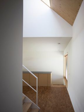 Double Dwelling in Den Hoorn