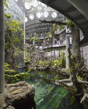 California Academy of Sciences