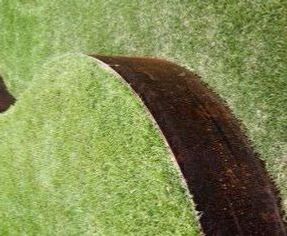 Walfilii Corten Steel Borders