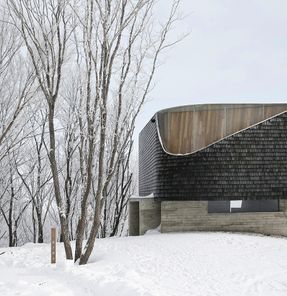 Stage of Forest