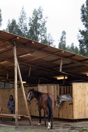 San José Stables