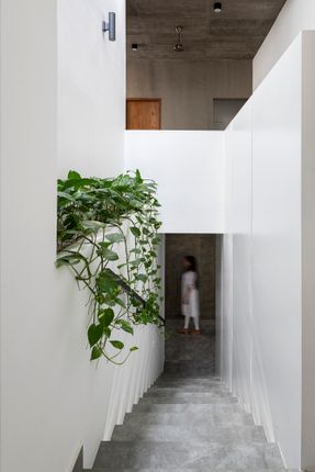 White Skube House